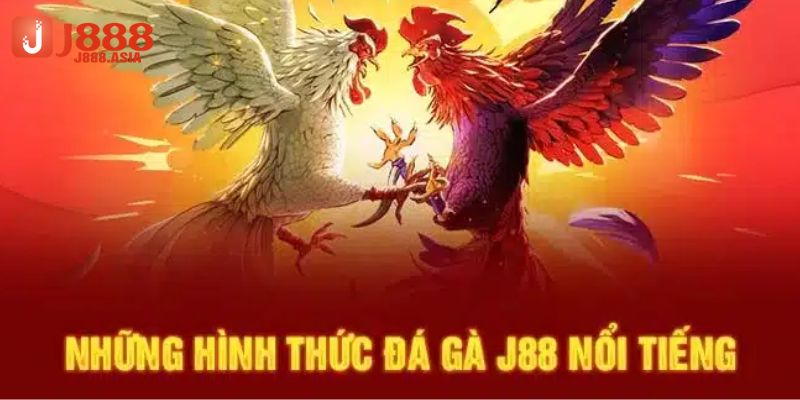 Những hình thức đá gà J88 nổi tiếng 